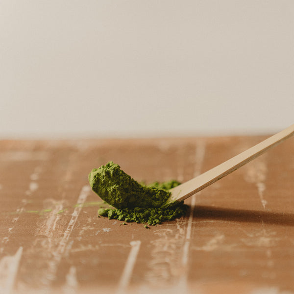 CHASHAKU bamboo spoon