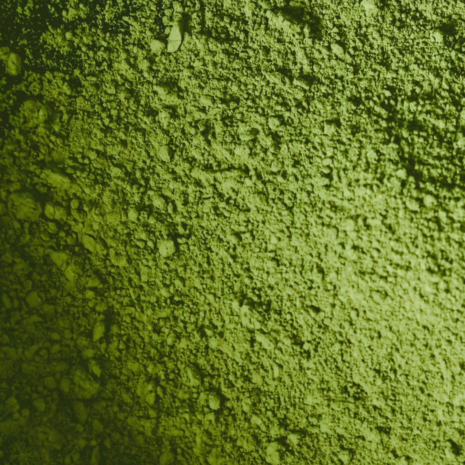 Matcha Orgánico Culinario CULINARY - 100 g
